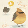 Cedar Waxwing